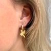 starfish mini studs oorbellen zeester goud